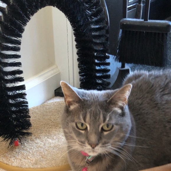 Meet your Posher, Bethany - Picture 2 of 4